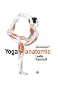 yoga-anatomie